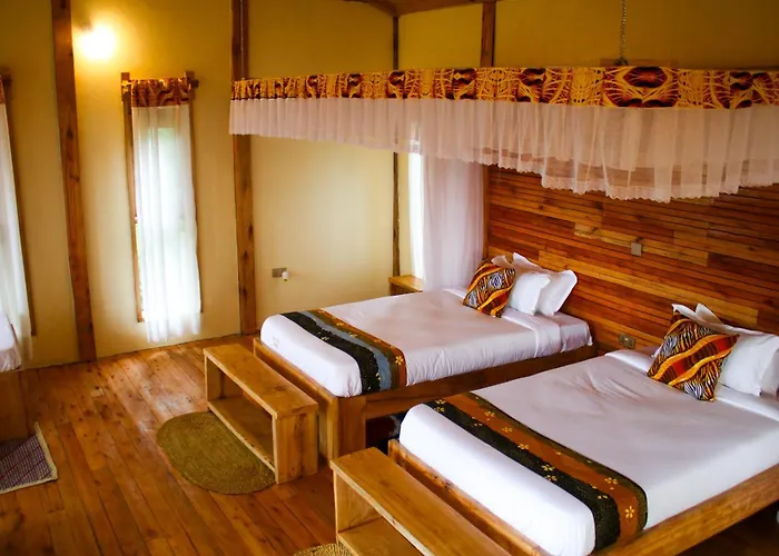 Chimpnest Safari Lodge